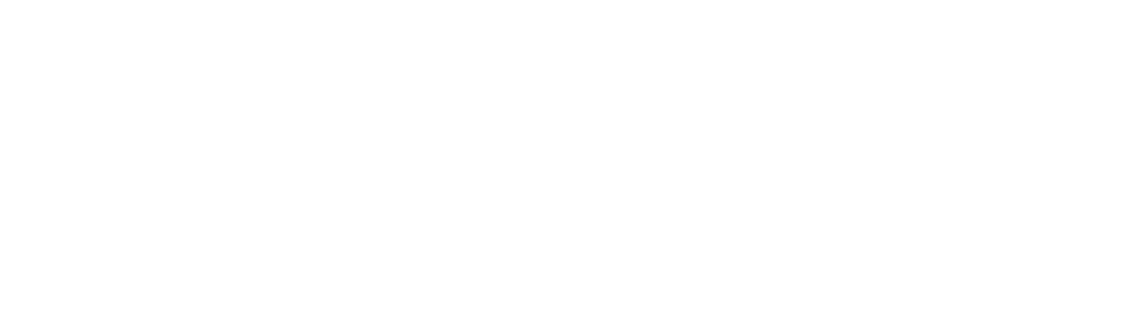 Digital Rakes - Business Technology Solutions For All